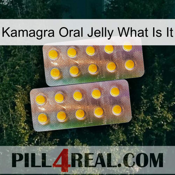 Kamagra Oral Jelly What Is It new10.jpg